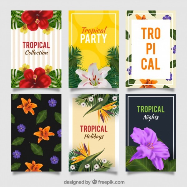 Conjunto De Convites De Festa Tropical Conjunto De Convites De Festa Tropical
