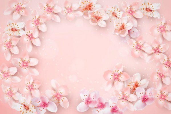 Fundo Do Casamento Fundo Do Casamento