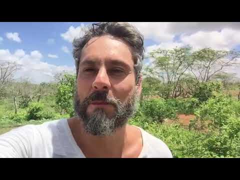Lula Ribeiro Lula Ribeiro